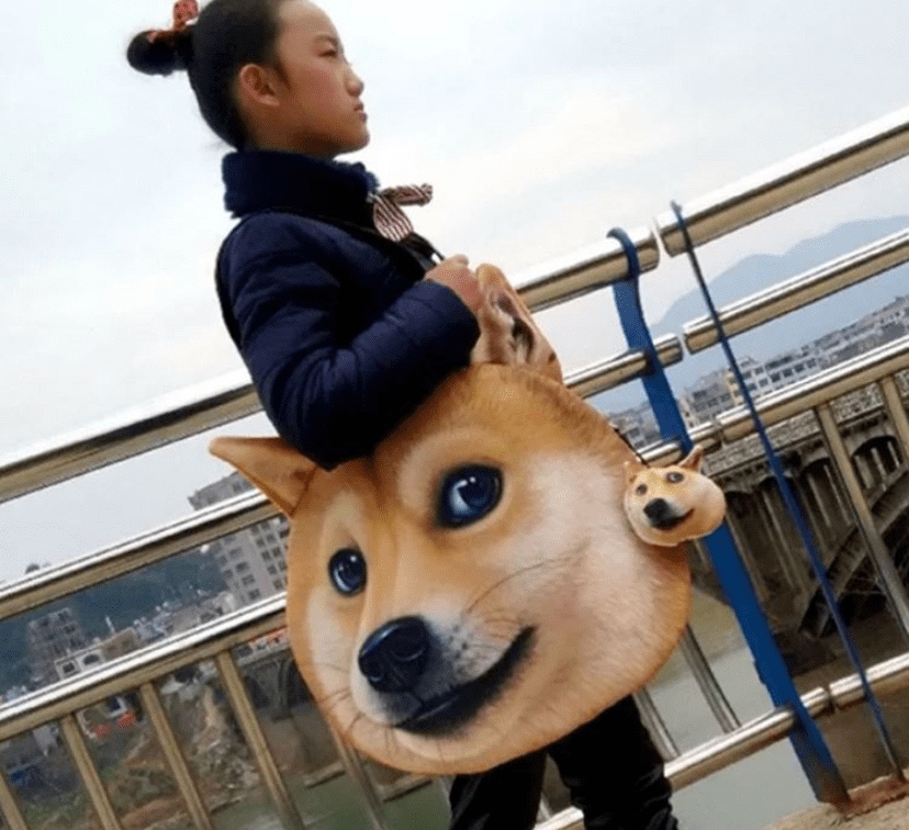 Dog face bag from Taobao